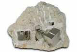 Six Shiny Natural Pyrite Cubes in Rock - Navajun, Spain #325112-1